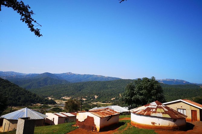 Zulu Cultural Experience: Zulu Village + Tribal Markets + Traditional Zulu Food - Traditional food and the value of eating locally